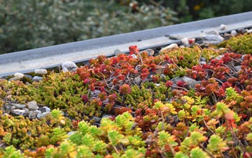 the cost of Houghton Le Spring green roof installation