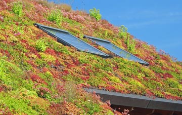 Houghton Le Spring living roof systems